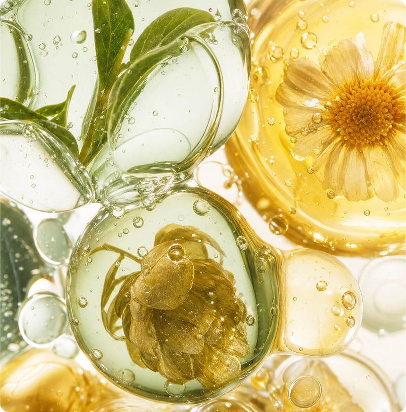 L-Theanine + Chamomile + Hops
