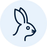 Cruelty-Free