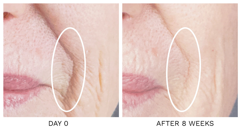 Marine Actives & Hyaluronic Acid Firm All Day