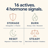 City Beauty Hormone Balance -